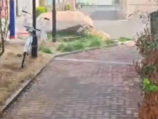 手机落车上一两分钟！司机当场要价50元保管费 平台：已进行处罚 ！