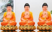 欲钱看蜘蛛拉网代表是指什么生肖。解答最佳成语解释