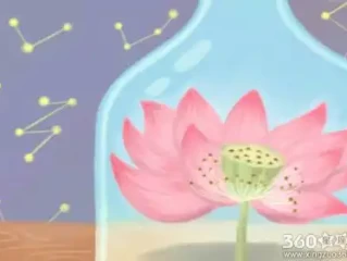 动手先看肩，指手在胸前打猜一最佳精准生肖，经典释义落实理解解释