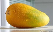 怎么催熟芒果速度快（5种实用的芒果催熟方法介绍） ！