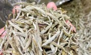 福鼎白茶的最佳产区（福鼎白茶产地的最佳地区在哪里） ！