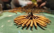 虫草和冬虫夏草的区别（解释虫草和冬虫夏草的不同和特性） !