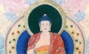 诪张为幻猜打一最佳生肖，独家释义解释成语解析