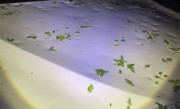 北京冰雹车盖被砸出气泡膜！车主：车玻璃砸碎 车身全是坑 !