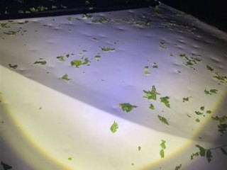 北京冰雹车盖被砸出气泡膜！车主：车玻璃砸碎 车身全是坑 !