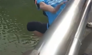 还有餐没送！50岁外卖小哥跳桥救人后默默离开 平台回应 !