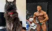 31岁健美冠军突然中风身亡 竟因爱猫去世太伤心 ！