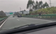高速上SUV溜车 车主应急车道上狂追 网友：这实习标一点不冤枉 ！
