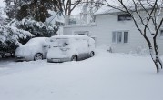 全国多地普降大雪！雪天开车“防滑八条”送给开车的你 !