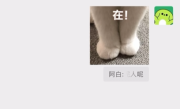 微信宣布新功能上线 聊天引用部分文字功能来了 !