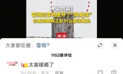 雪鸮在雪地里开了“隐身挂” 网友：新一代隐形战机有代号了 ！
