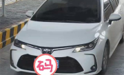 男子假期上高速被收费 得知真相让人哭笑不得 !