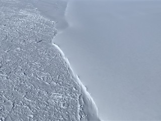 罕见！3.8℃把哈尔滨冰雕暖化了 !