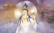 南阳三葛打一最佳生肖，独家释义解释成语解析！