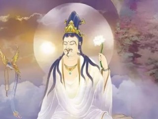 南阳三葛打一最佳生肖，独家释义解释成语解析！