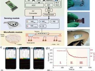 中科院研发可穿戴汗液监测系统：手机APP实时监测疾病 !