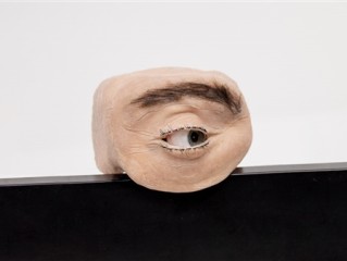 惊悚感拉满！德国设计出仿人眼摄像头：像真人一样盯着看 !