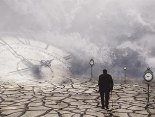 东风百宝泛楼船是指代表哪个什么生肖，打一最佳正确准确解释释义经典解答落实
