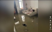 暴雨淹了家：夫妻俩1个玩手机1个补觉 太淡定了 ！