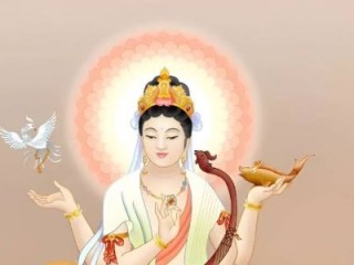 释义作答解读：木土两行不是吹，一共产生过多求打一个最佳最佳生肖，准确释义词语解释