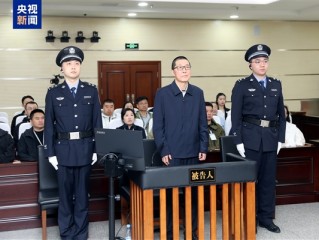 紫光集团原董事长赵伟国一审被判死缓！造成损失超14亿元 ！