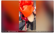两名盲人带导盲犬爬泰山引争议：网友呼吁将狗狗收回 !