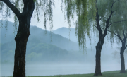 今天清明节 全国雨纷纷地图出炉 南方成阴雨核心区 ！