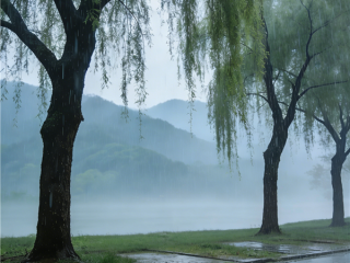 今天清明节 全国雨纷纷地图出炉 南方成阴雨核心区 ！
