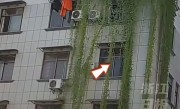 浙江一居民楼出现空心菜“瀑布” 从5楼挂到1楼 !