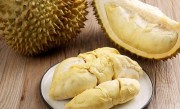 如何挑选干尧榴莲（教你如何选购优质的干尧榴莲） ！
