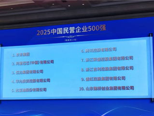 2025中国民营企业500强公布：京东阿里前二 华为未进前三 !
