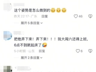 一只猫咪在大树上安逸睡觉 吹着小风很惬意 网友：这姿势咋“解锁” !