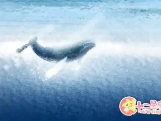 强龙不压地头蛇，井水河水两不犯猜打一个最佳最佳生肖。精准释义词语解释,