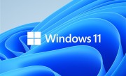 微软将修复Windows 11顽固Bug！WebView2网页应用更具原生感 !