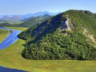 小山几座竹绿绿，各人自扫门前雪打一最佳最佳生肖，独家释义解释成语
