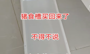 女子花几十块买猪食槽收纳孩子玩具：不照常理出牌更好用！ 