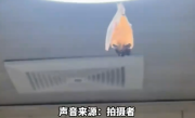 开饭了！网友家中惊现“大菊头蝠”：M码翅膀包不住XXL身体 !