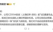 雷达罩疑脱落！上海飞深圳航班遭鸟击紧急返航 南航通报 ！