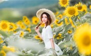 “豕亥鱼鲁"是指打一正确准确什么生肖，“豕亥鱼鲁"是猜成语最佳释义解释