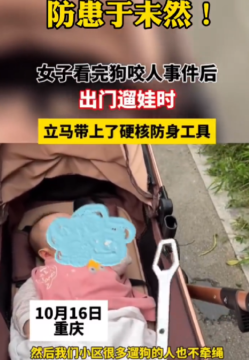 多人遛狗不牵绳  重庆一宝妈带铁扳手防身：防患于未然！-第1张图片