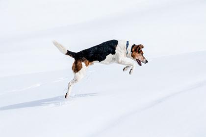 animal2yue_28.jpg